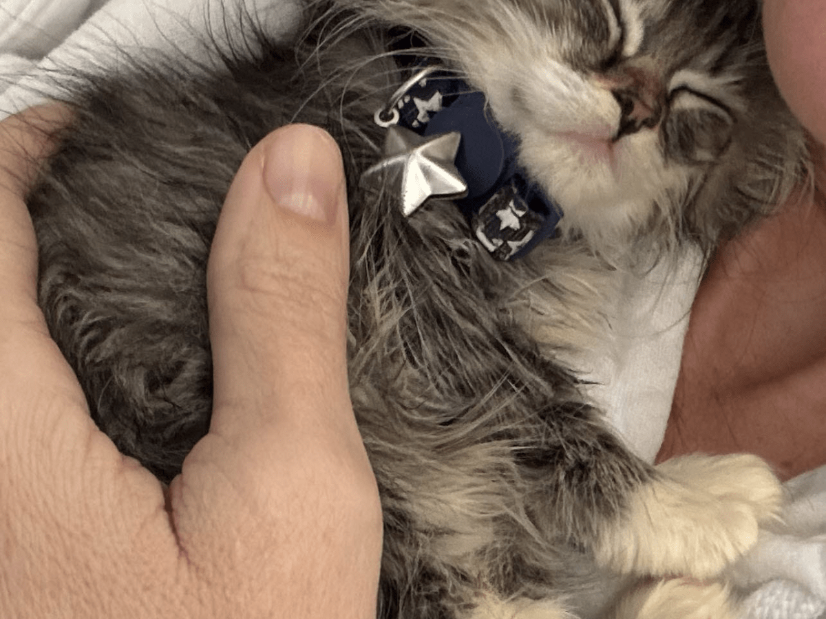 February 2026 Update – Paper Dice&nbsp;Games